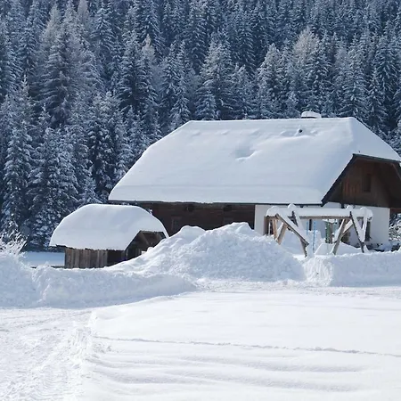 Gobald Murau